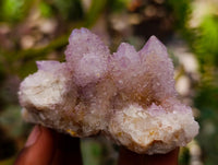 Natural Drusy Amethyst and Ametrine Spirit Clusters x 6 From Boekenhouthoek, South Africa