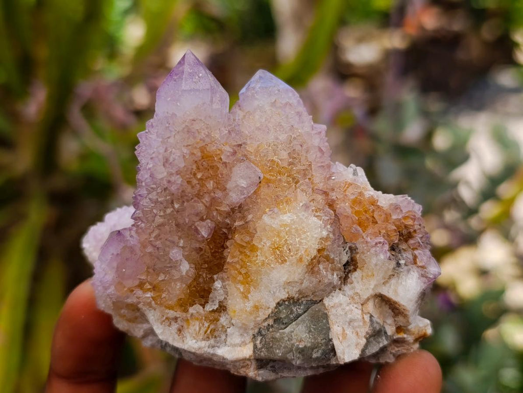 Natural Drusy Amethyst and Ametrine Spirit Clusters x 6 From Boekenhouthoek, South Africa