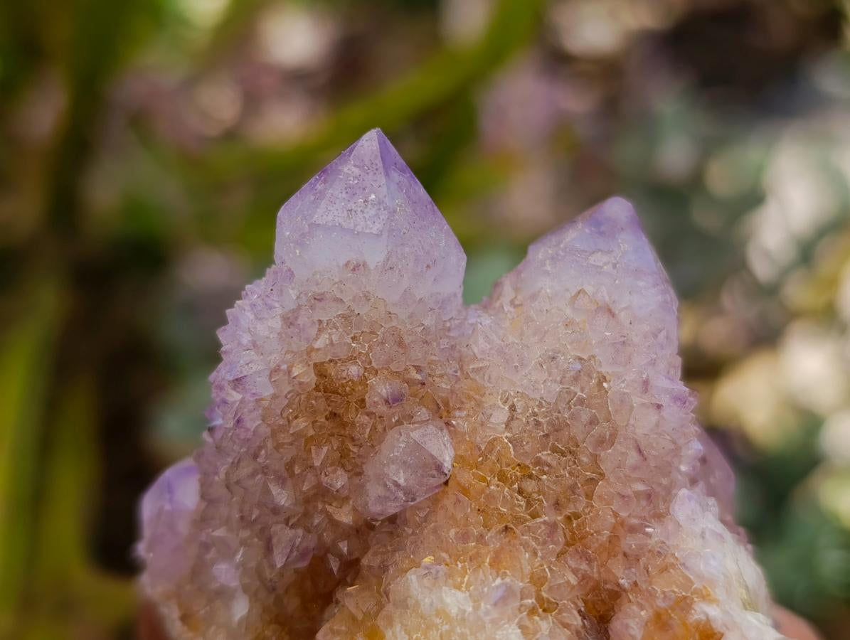 Natural Drusy Amethyst and Ametrine Spirit Clusters x 6 From Boekenhouthoek, South Africa