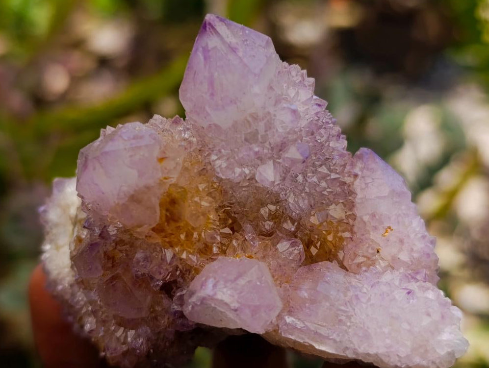 Natural Drusy Amethyst and Ametrine Spirit Clusters x 6 From Boekenhouthoek, South Africa