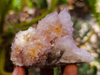 Natural Drusy Amethyst and Ametrine Spirit Clusters x 6 From Boekenhouthoek, South Africa