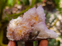 Natural Drusy Amethyst and Ametrine Spirit Clusters x 6 From Boekenhouthoek, South Africa