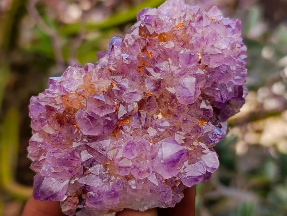 Natural Drusy Amethyst and Ametrine Spirit Clusters x 6 From Boekenhouthoek, South Africa