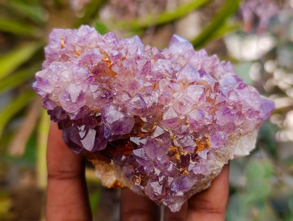 Natural Drusy Amethyst and Ametrine Spirit Clusters x 6 From Boekenhouthoek, South Africa