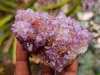 Natural Drusy Amethyst and Ametrine Spirit Clusters x 6 From Boekenhouthoek, South Africa