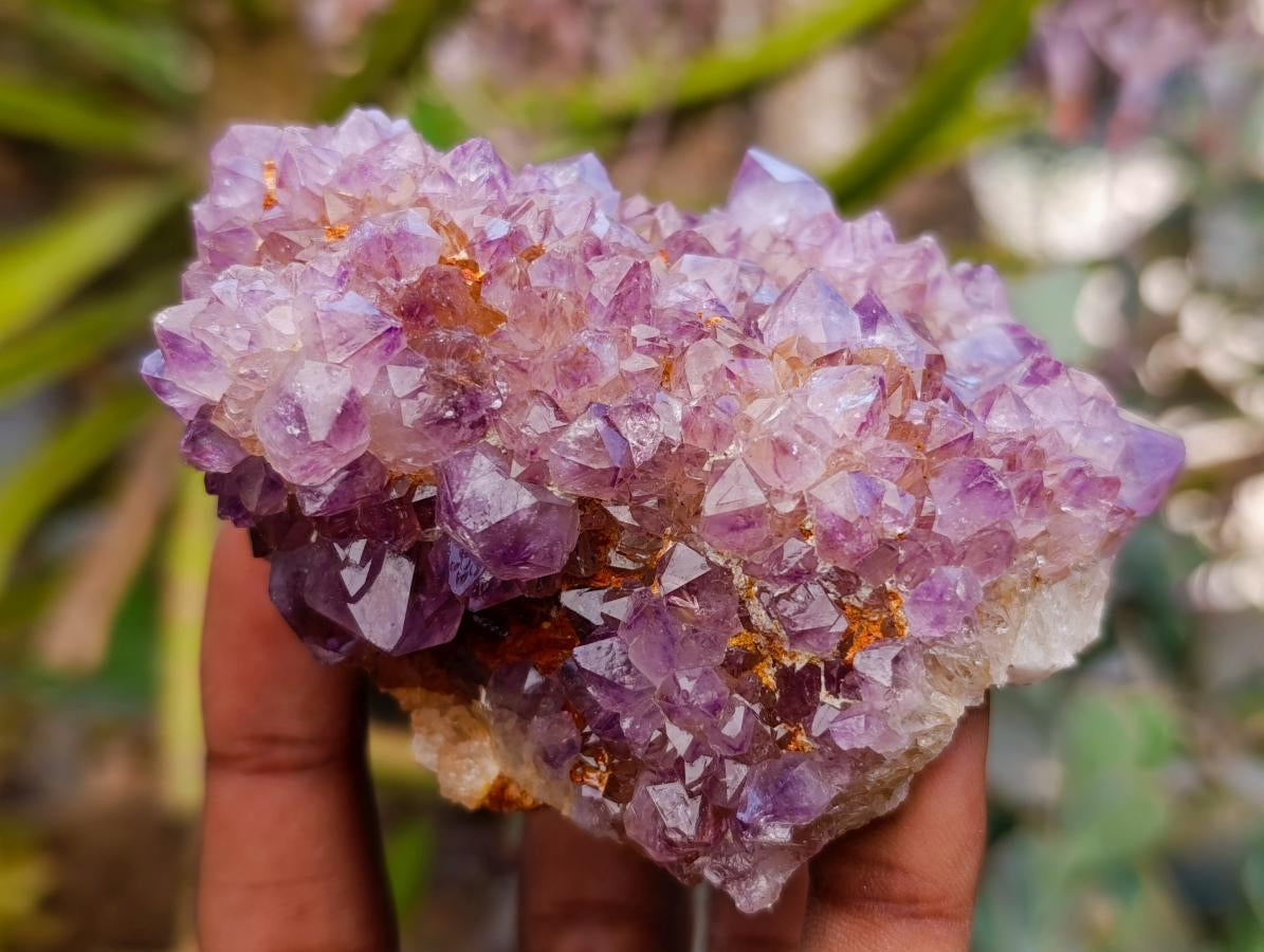 Natural Drusy Amethyst and Ametrine Spirit Clusters x 6 From Boekenhouthoek, South Africa