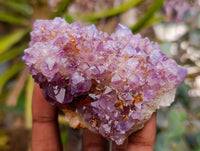 Natural Drusy Amethyst and Ametrine Spirit Clusters x 6 From Boekenhouthoek, South Africa