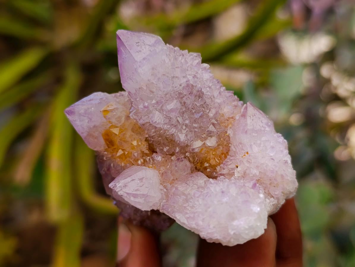Natural Drusy Amethyst and Ametrine Spirit Clusters x 6 From Boekenhouthoek, South Africa