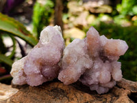 Natural Drusy Amethyst and Ametrine Spirit Clusters x 6 From Boekenhouthoek, South Africa