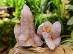 Natural Drusy Amethyst and Ametrine Spirit Clusters x 6 From Boekenhouthoek, South Africa
