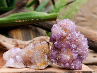 Natural Drusy Amethyst and Ametrine Spirit Clusters x 6 From Boekenhouthoek, South Africa