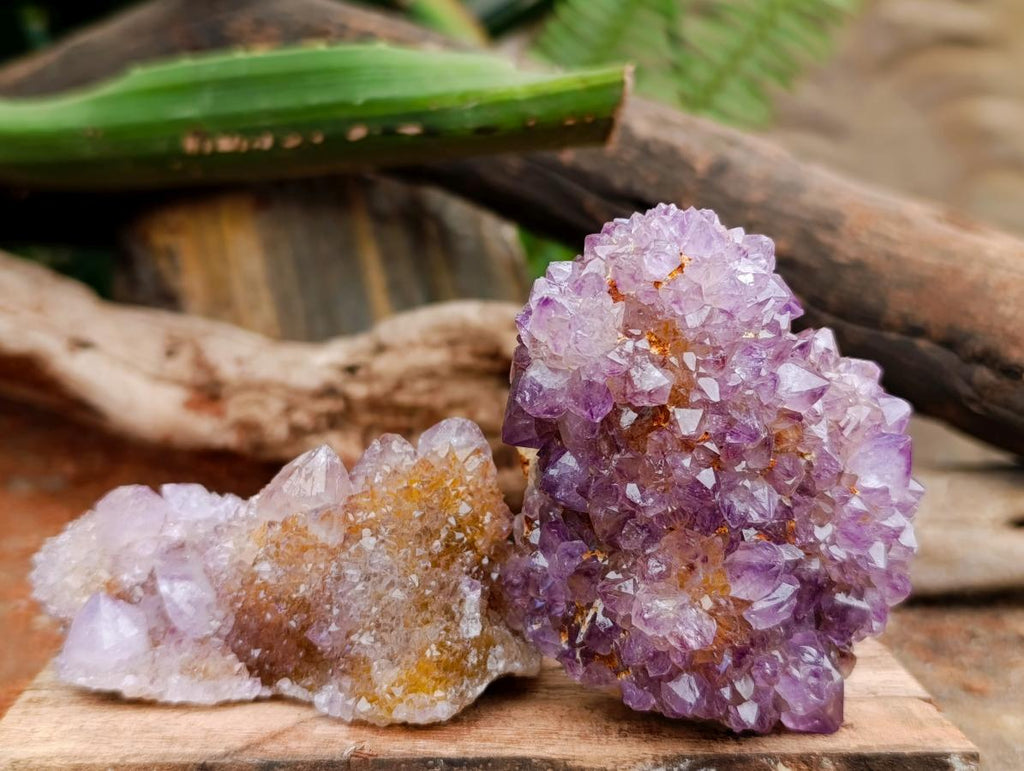 Natural Drusy Amethyst and Ametrine Spirit Clusters x 6 From Boekenhouthoek, South Africa