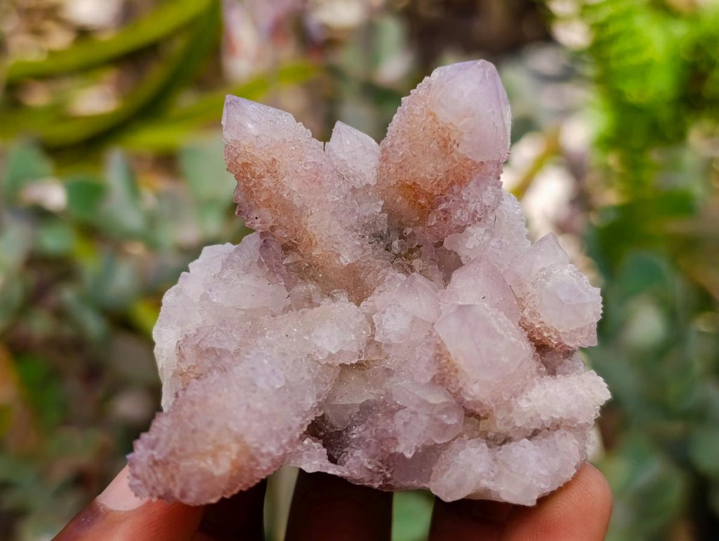 Natural Drusy Amethyst and Ametrine Spirit Clusters x 6 From Boekenhouthoek, South Africa