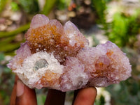 Natural Drusy Amethyst and Ametrine Spirit Clusters x 6 From Boekenhouthoek, South Africa
