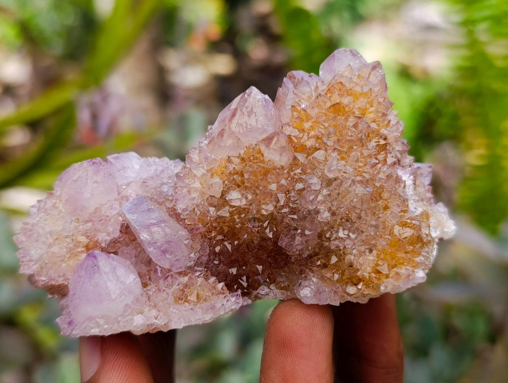 Natural Drusy Amethyst and Ametrine Spirit Clusters x 6 From Boekenhouthoek, South Africa