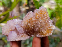 Natural Drusy Amethyst and Ametrine Spirit Clusters x 6 From Boekenhouthoek, South Africa