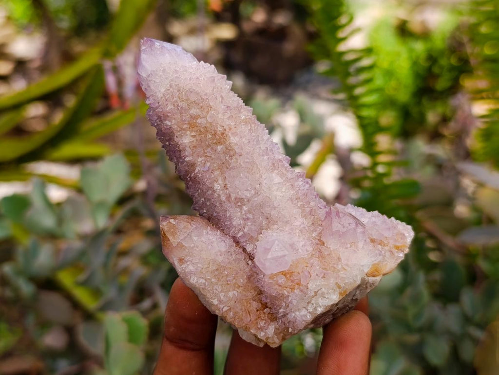 Natural Drusy Amethyst and Ametrine Spirit Clusters x 6 From Boekenhouthoek, South Africa