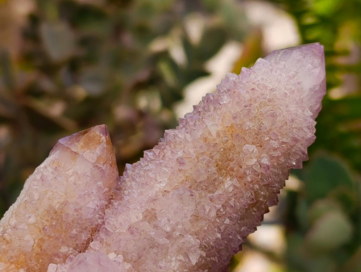Natural Drusy Amethyst and Ametrine Spirit Clusters x 6 From Boekenhouthoek, South Africa