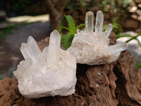 Natural Clear Quartz Clusters x 7 From Madagascar