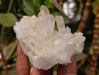 Natural Clear Quartz Clusters x 7 From Madagascar