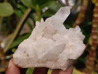 Natural Clear Quartz Clusters x 7 From Madagascar