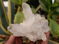 Natural Clear Quartz Clusters x 7 From Madagascar