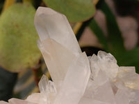 Natural Clear Quartz Clusters x 7 From Madagascar