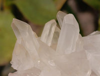 Natural Clear Quartz Clusters x 7 From Madagascar