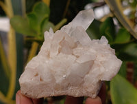 Natural Clear Quartz Clusters x 7 From Madagascar