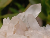 Natural Clear Quartz Clusters x 7 From Madagascar