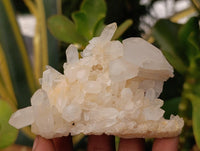 Natural Clear Quartz Clusters x 7 From Madagascar