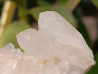 Natural Clear Quartz Clusters x 7 From Madagascar