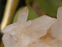 Natural Clear Quartz Clusters x 7 From Madagascar