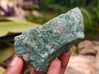 Natural Swazi Jade Cobbed Specimens x 24 From Swaziland