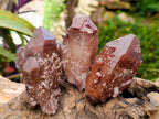 Natural Red Hematoid Quartz Crystals x 12 From Karoi, Zimbabwe
