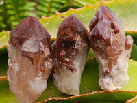Natural Red Hematoid Quartz Crystals x 12 From Karoi, Zimbabwe