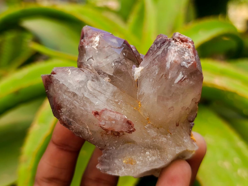 Natural Red Hematoid Quartz Crystals x 12 From Karoi, Zimbabwe