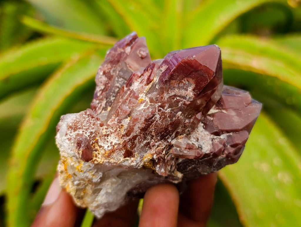 Natural Red Hematoid Quartz Crystals x 12 From Karoi, Zimbabwe