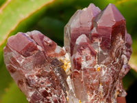 Natural Red Hematoid Quartz Crystals x 12 From Karoi, Zimbabwe