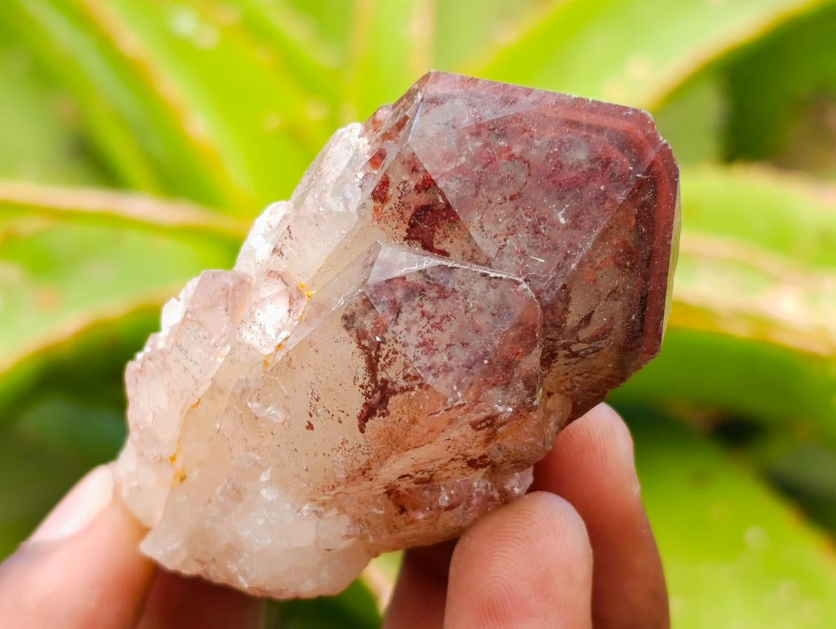 Natural Red Hematoid Quartz Crystals x 12 From Karoi, Zimbabwe