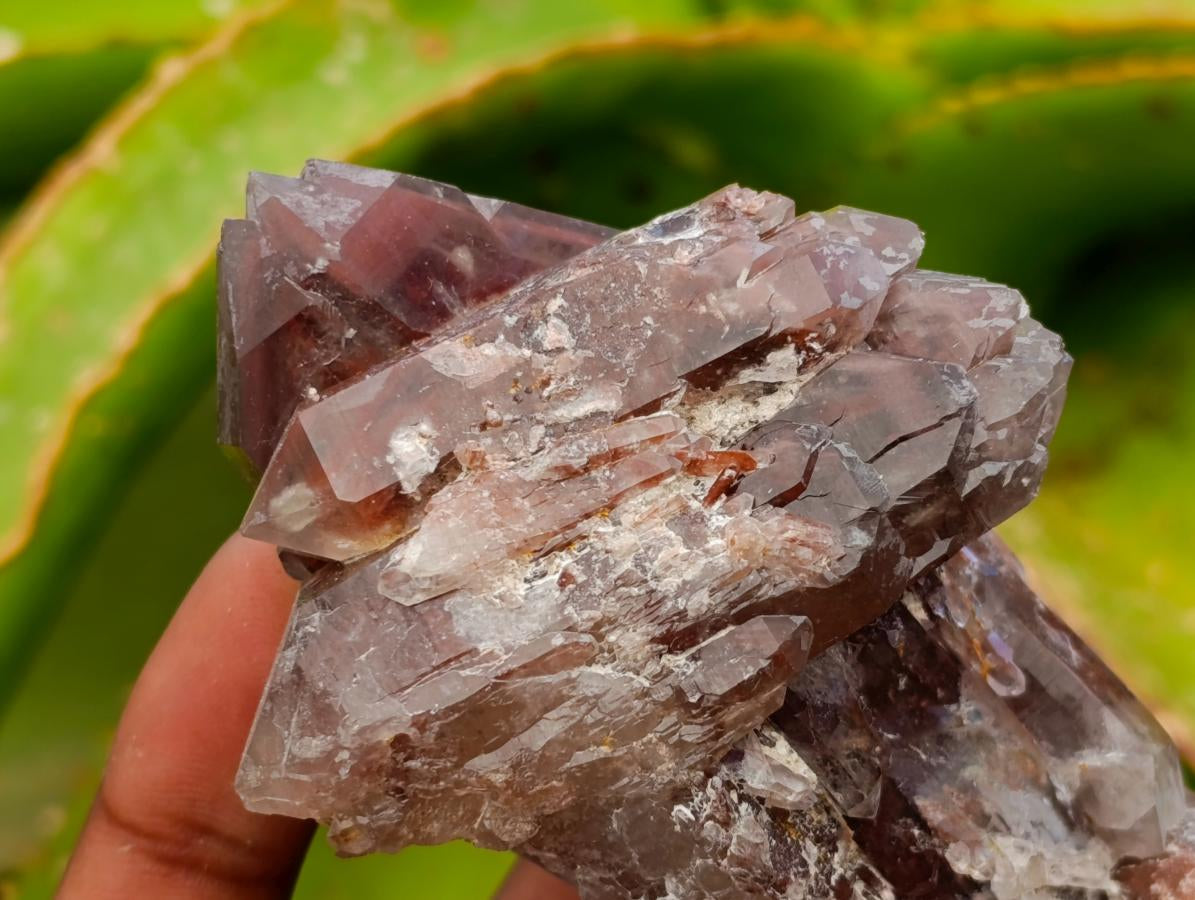 Natural Red Hematoid Quartz Crystals x 12 From Karoi, Zimbabwe