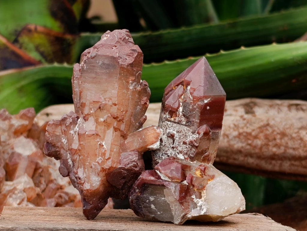Natural Red Hematoid Quartz Crystals x 12 From Karoi, Zimbabwe