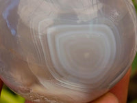 Polished Banded Agate Spheres x 6 From Madagascar