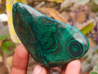 Polished Flower Banded Malachite Free Forms x 6 From Congo