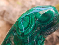 Polished Flower Banded Malachite Free Forms x 6 From Congo