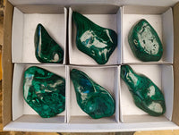 Polished Flower Banded Malachite Free Forms x 6 From Congo