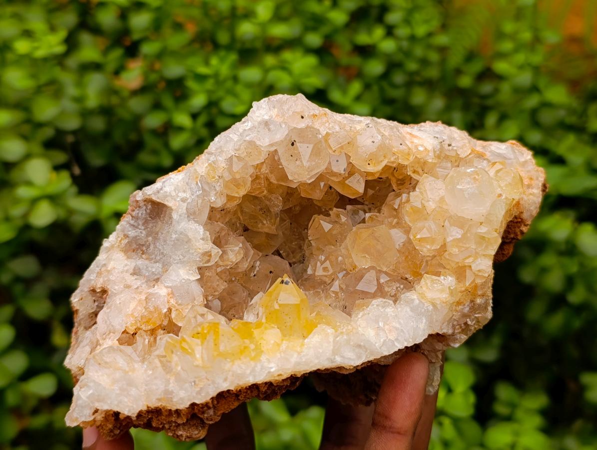 Natural Golden Limonite Quartz Specimens x 4 From Solwezi, Zambia