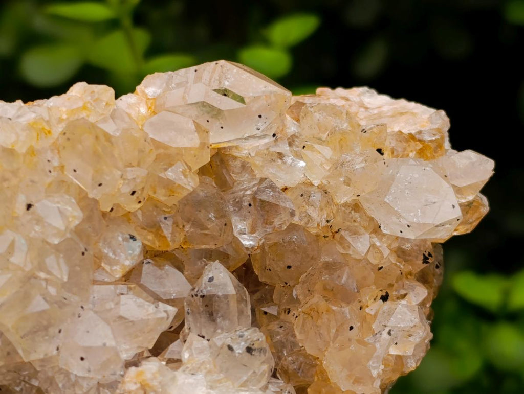 Natural Golden Limonite Quartz Specimens x 4 From Solwezi, Zambia