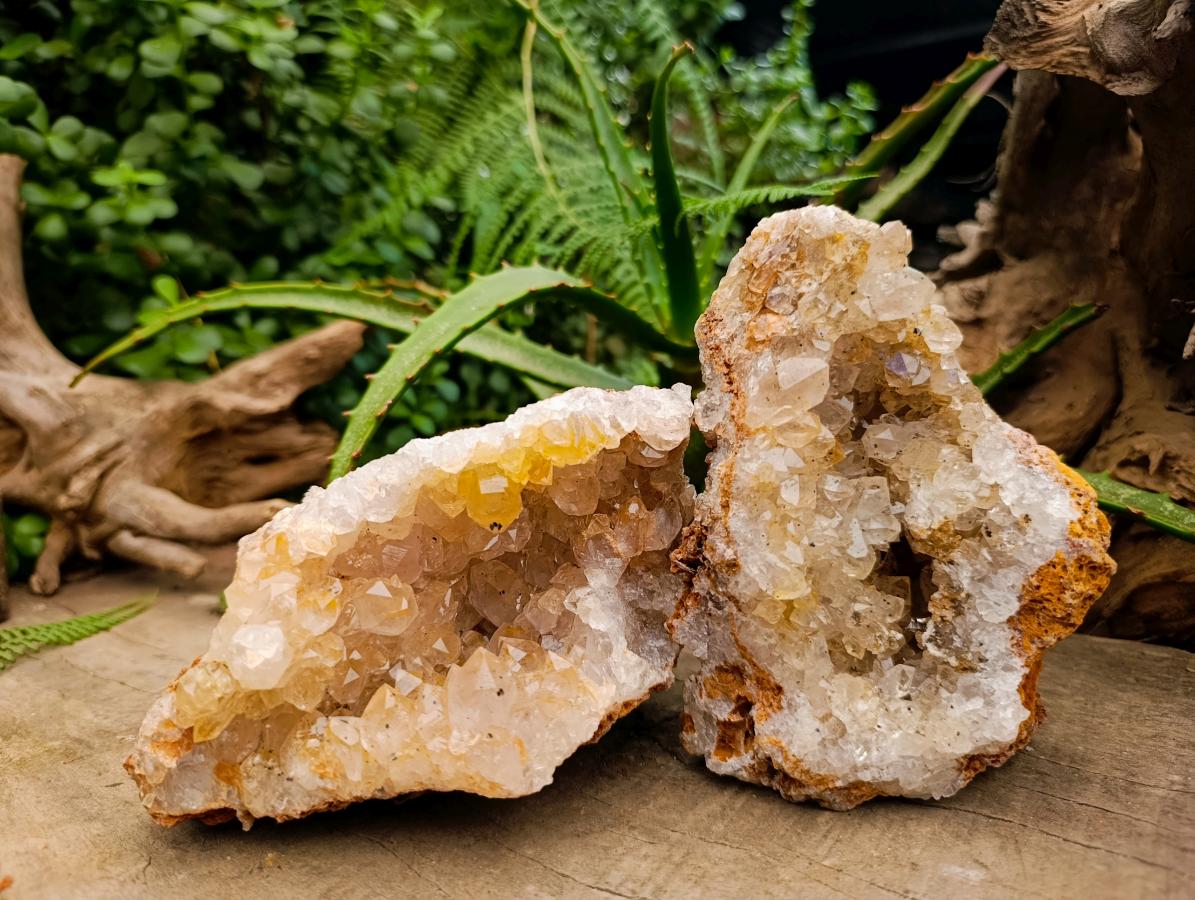Natural Golden Limonite Quartz Specimens x 4 From Solwezi, Zambia