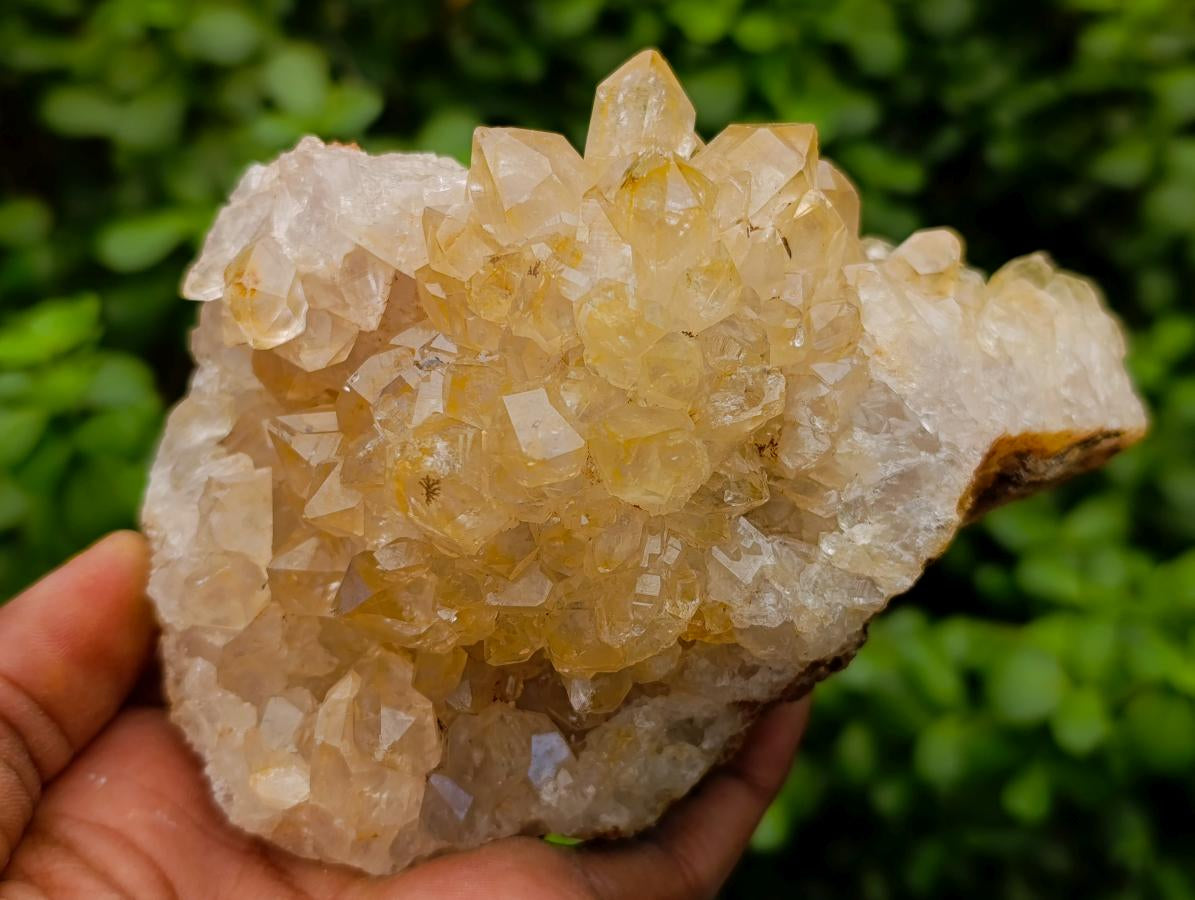 Natural Golden Limonite Quartz Specimens x 4 From Solwezi, Zambia